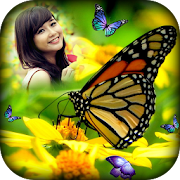 Butterfly Photo Frames  Icon