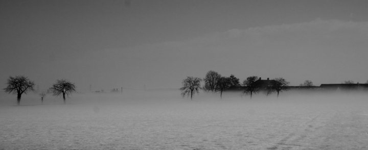 Nebbia a Caraglio di maxdaj