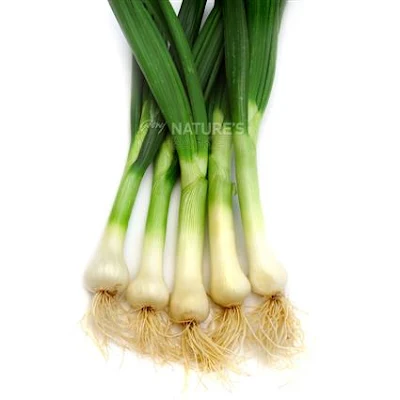 Sprinng Spring Onion - 1 pc