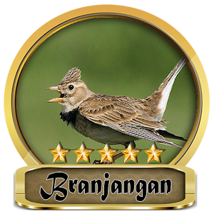 Download Chirping Branjangan Champion For PC Windows and Mac