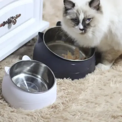 100ML Cat Dog Bowl 15 Degrees Raised Non Slip Puppy Base Cat Food Drinking Water Feeder Tilt Safeguard Neck Pet Bowl Acc