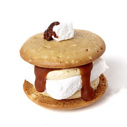 Salted Caramel Smore Biskie