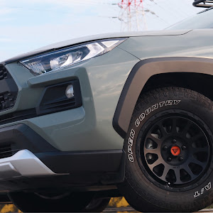 RAV4 MXAA54