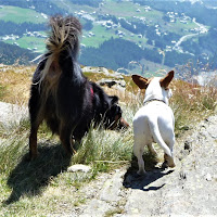 Ehi amico guarda che panorama di Laucol