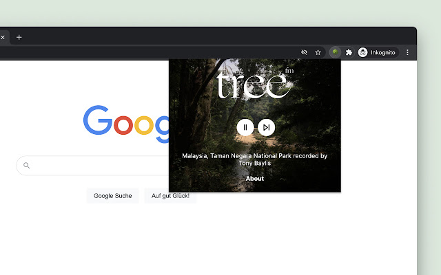 tree.fm - listen to a random forest chrome extension