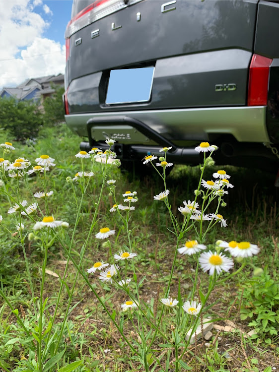 デリカD:5のゴクブト・三菱 デリカD5・ブラック化・DIY・トレイルヒッチプレミアムに関するカスタム事例の投稿画像3枚目