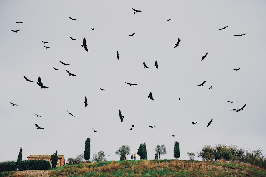 Fotograful de nuntă Aleksandr Vasilev (avasilev). Fotografia din 16 iulie 2015