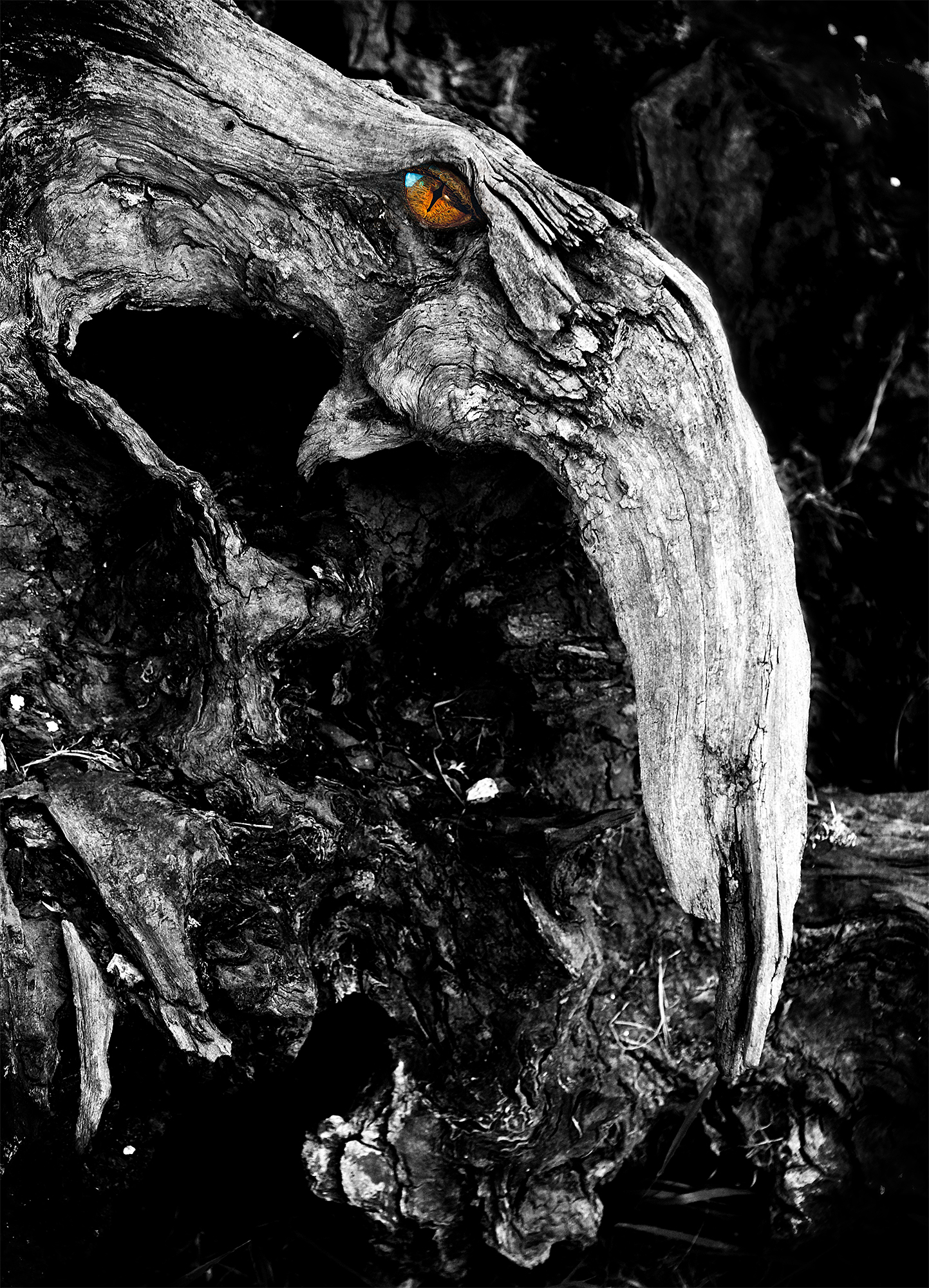 Troncosauro di Il_Viaggiatore