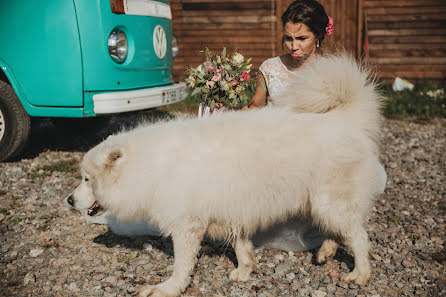 Wedding photographer Roman Korolkov (mrkorolkov). Photo of 17 November 2019