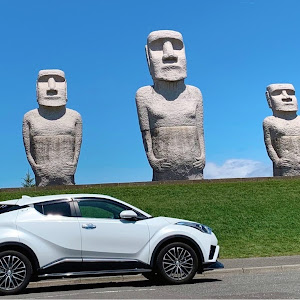 C-HR NGX50