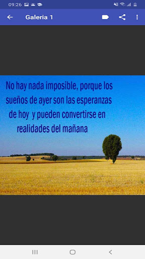 Reflexiones