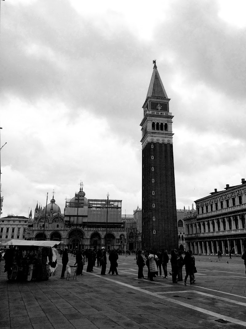 Venice di giuliavisenzi