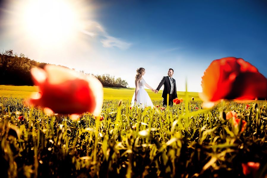 Photographe de mariage Rita Szerdahelyi (szerdahelyirita). Photo du 30 juillet 2018