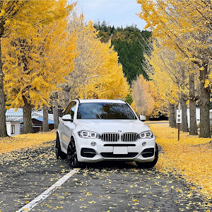 X5 xDrive 35d