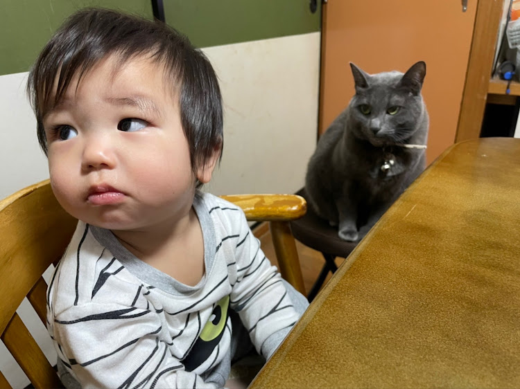 クラウンセダンの沖縄・15クラウン・jzs151・フェンダーミラー・ワイトレに関するカスタム事例の投稿画像4枚目