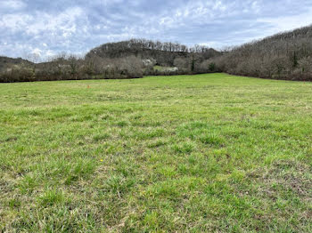 terrain à Loubressac (46)