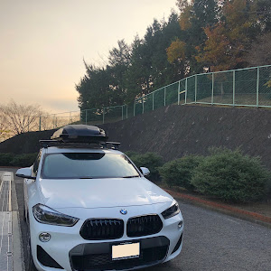 X2 xDrive 20i