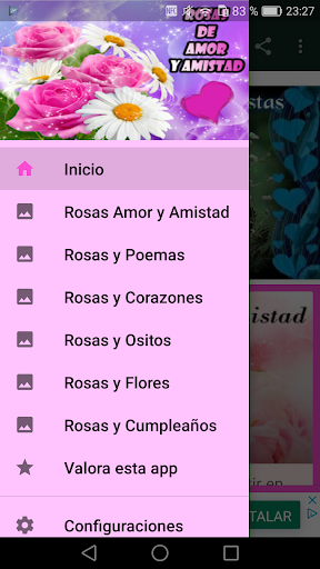 Rosas de Amor y Amistad