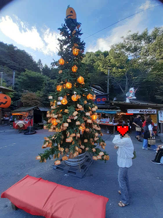 下手っぴカメラマンJ໒꒱·さんが投稿したドライブ・山賊へ・台風が来る((((；ﾟДﾟ)))))))・いつもありがとうございます😊・可愛ええ子発見に関するカスタム事例の投稿画像4枚目