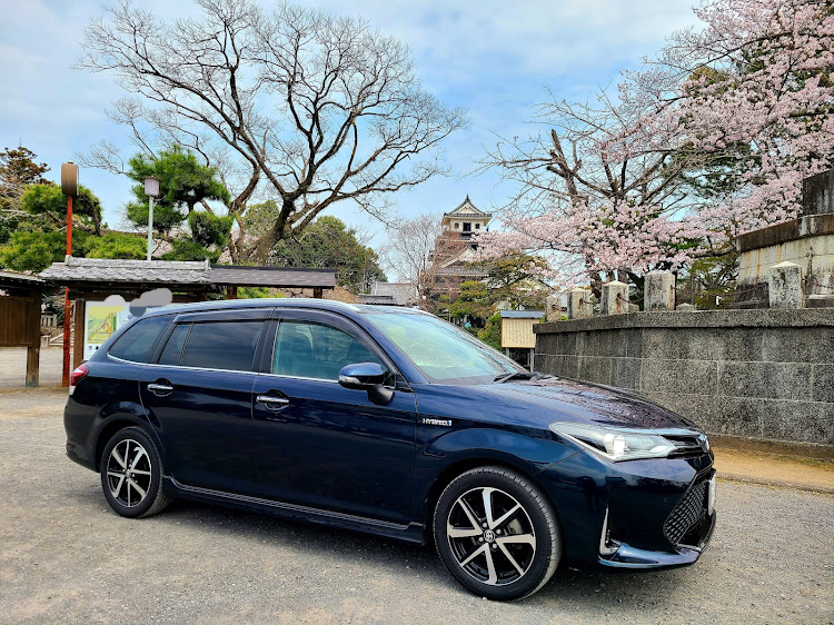 カローラフィールダーのサクラと愛車・夏タイヤに交換・ブラキッシュアゲハガラスフレーク・いいね！をしてくれた人に感謝✨に関するカスタム事例の投稿画像4枚目