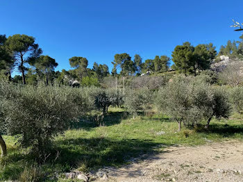 maison à Maussane-les-Alpilles (13)