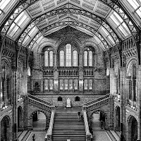 Natural History Museum - Londra di 