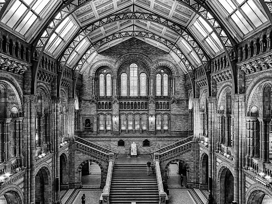 Natural History Museum - Londra di prometeo