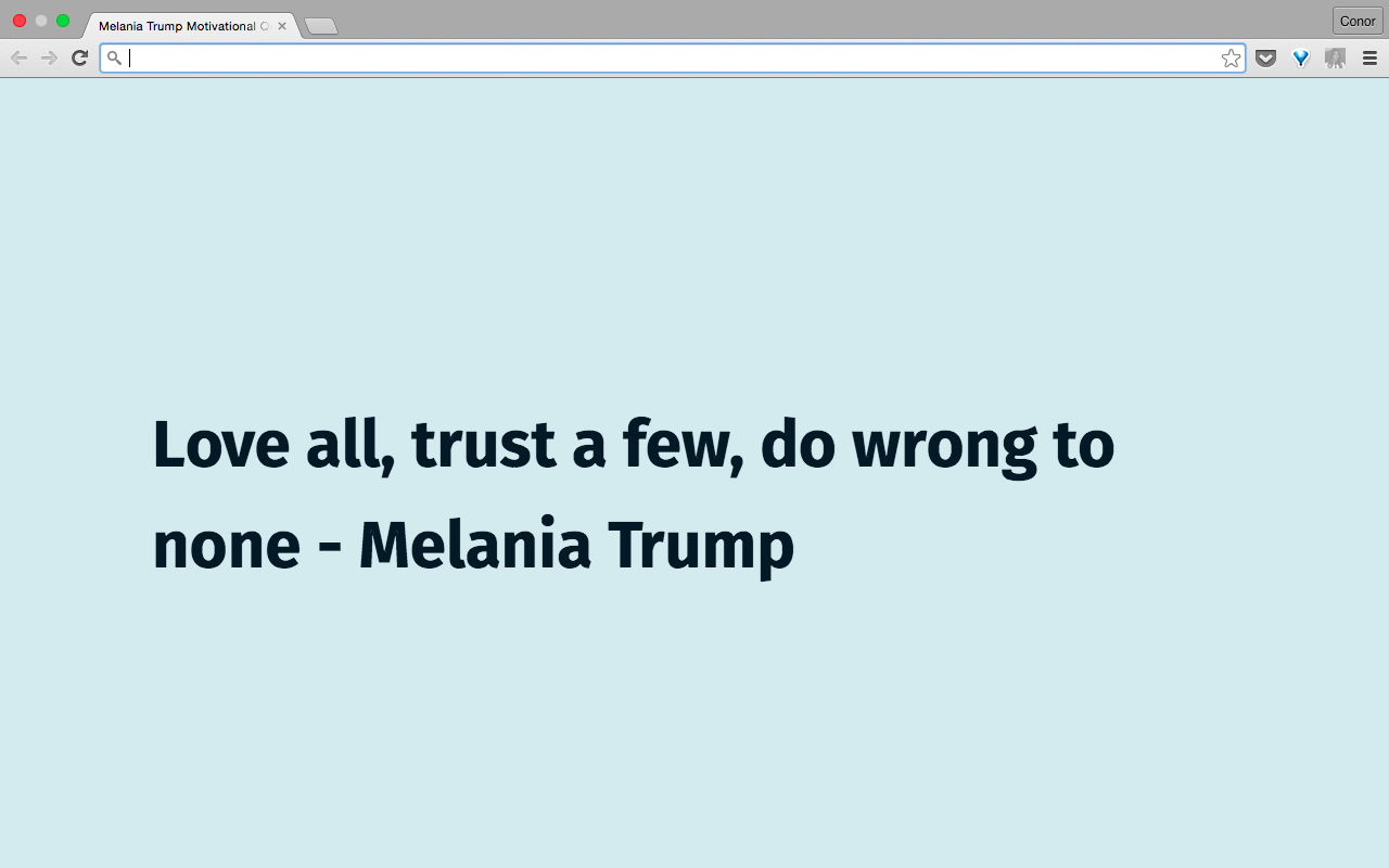 Melania Trump Motivational Quotes Preview image 5