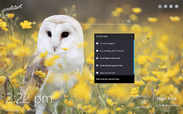 Owls HD Wallpapers Birds New Tab Theme