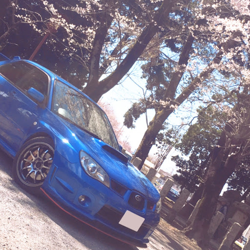 Zoomaのプロフィール画像