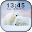 Arctic Polar Bear Live Wallpaper Download on Windows