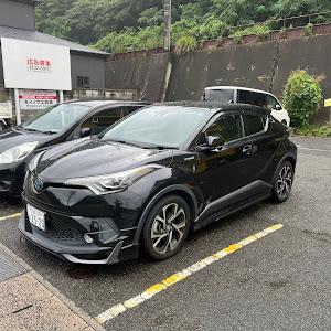 C-HR ZYX10