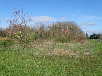 terrain à Saint-Médard-de-Mussidan (24)