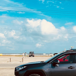 RAV4 MXAA54