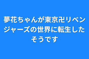 夢花ちゃんが東京卍リベンジャーズの世界に転生したそうです