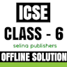 ICSE CLASS 6 SOLUTION icon