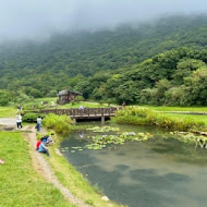 【竹子湖】吉園葡花園野菜