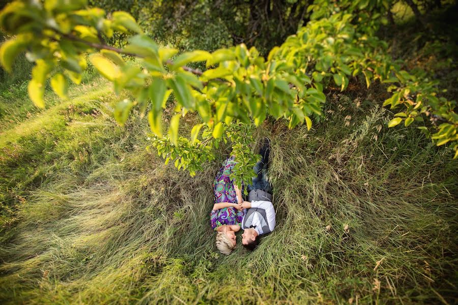 Bryllupsfotograf Nikolay Shepel (kkshepel). Bilde av 16 november 2015