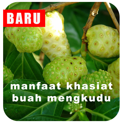 Manfaat Buah Mengkudu