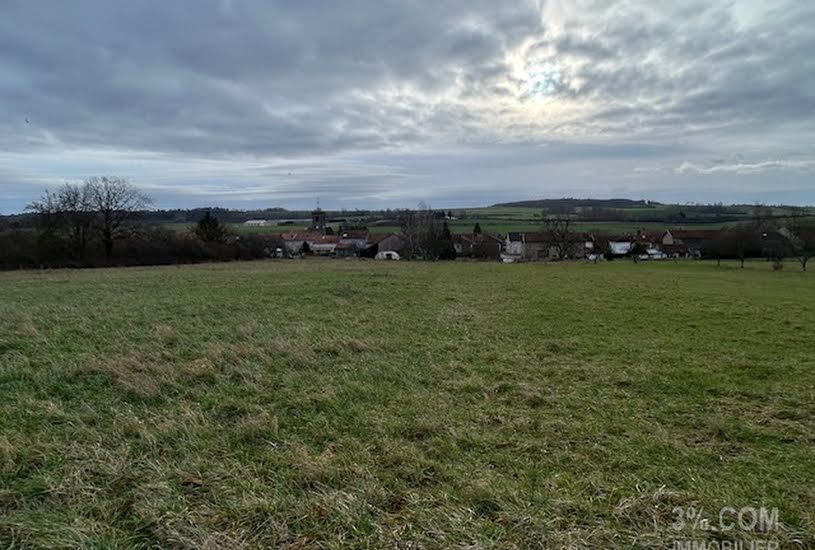  Vente Terrain à bâtir - 8 243m² à Lunéville (54300) 