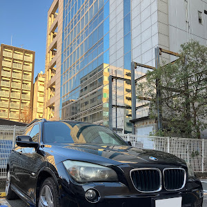 X1 xDrive 20i