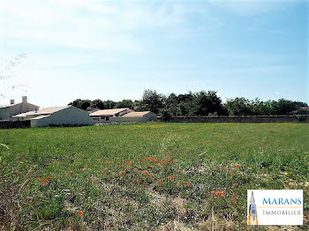 terrain à batir à Sainte-Radégonde-des-Noyers (85)