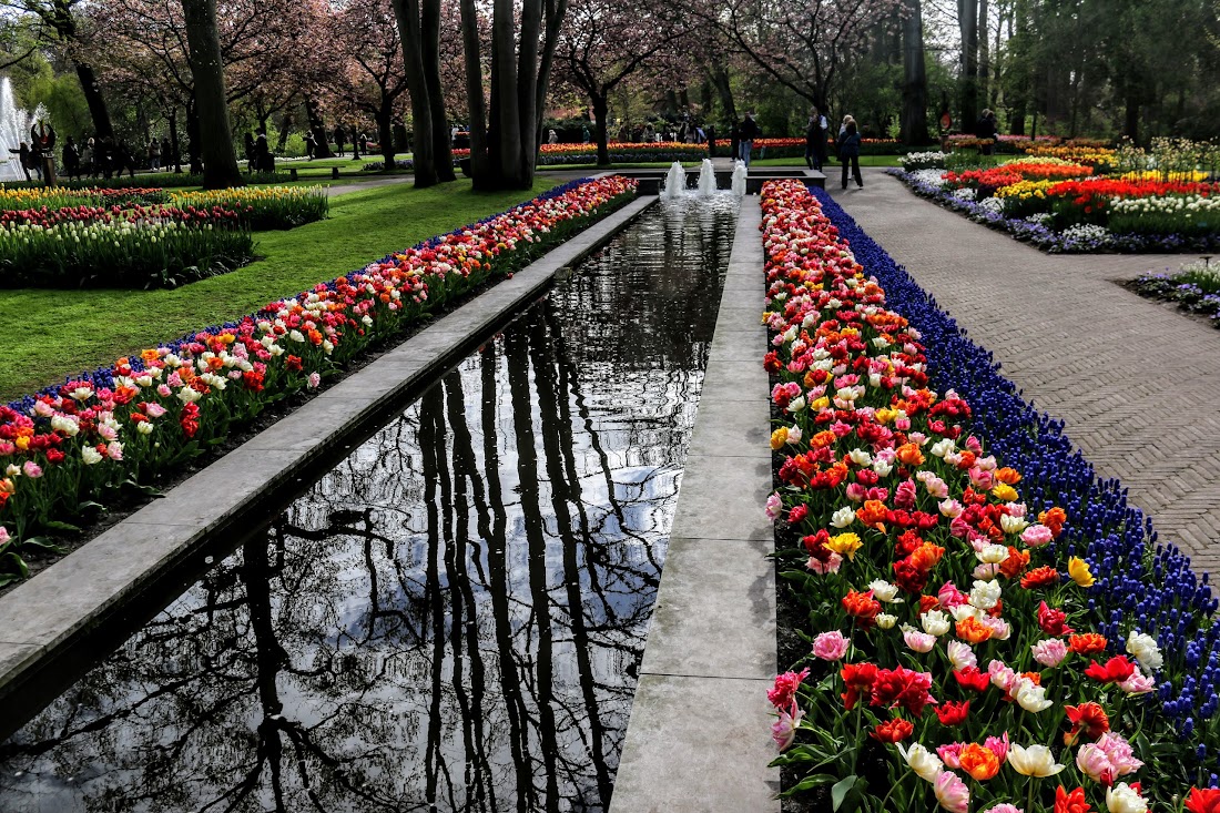 Парк Keukenhof, Ouddorp и Rotterdam "на закуску" - апрель 2017