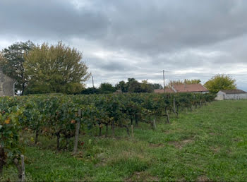 terrain à Plassac (33)