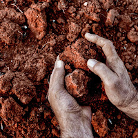 Mani per la terra di Diana Cimino Cocco