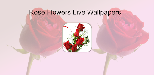 Hd Rose Flowers Live Wallpaper Aplicații Pe Google Play