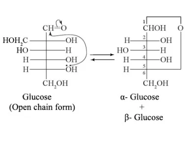 Solution Image