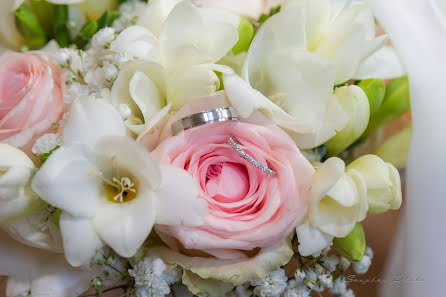 Fotógrafo de casamento Marie Lou Dubois (saupharphoto). Foto de 27 de abril 2019