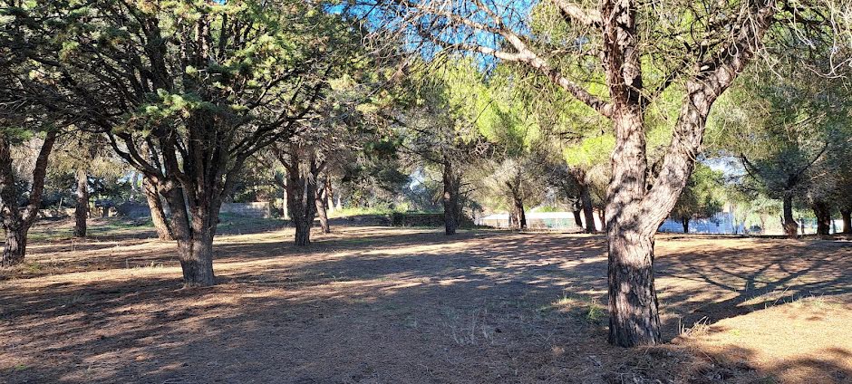 Vente terrain  531 m² à Agde (34300), 307 000 €