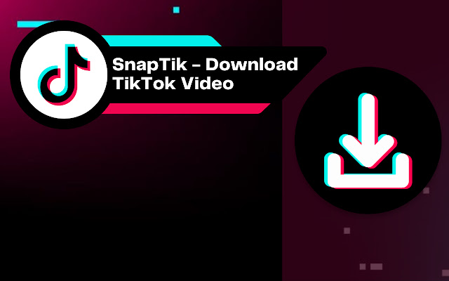 SnapTik - Download TikTok Video No Watermark